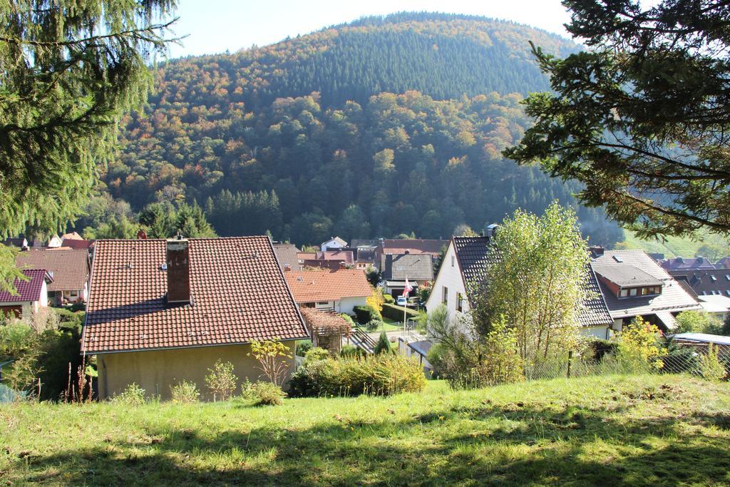 Sieber Haus Panoramablick 빌라 객실 사진